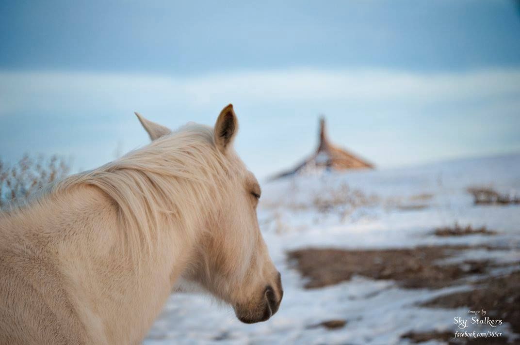 Chimney Rock